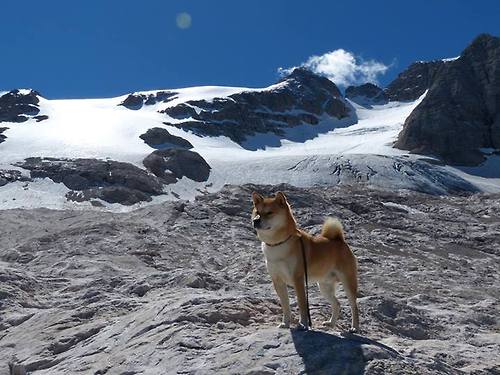 锡安大场面先生！湖人打穿辽宁队，跨时空对决引爆篮球想象