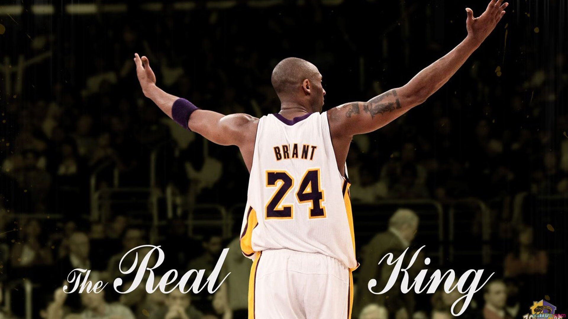 东决关键战之夜,贝恩攻防两端统治